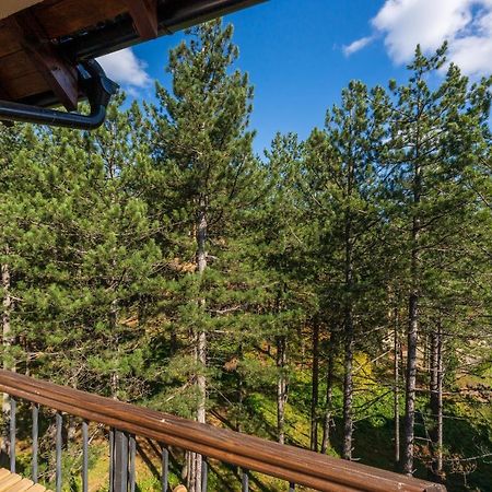 Apartment Grey Mountain Zlatibor Ngoại thất bức ảnh