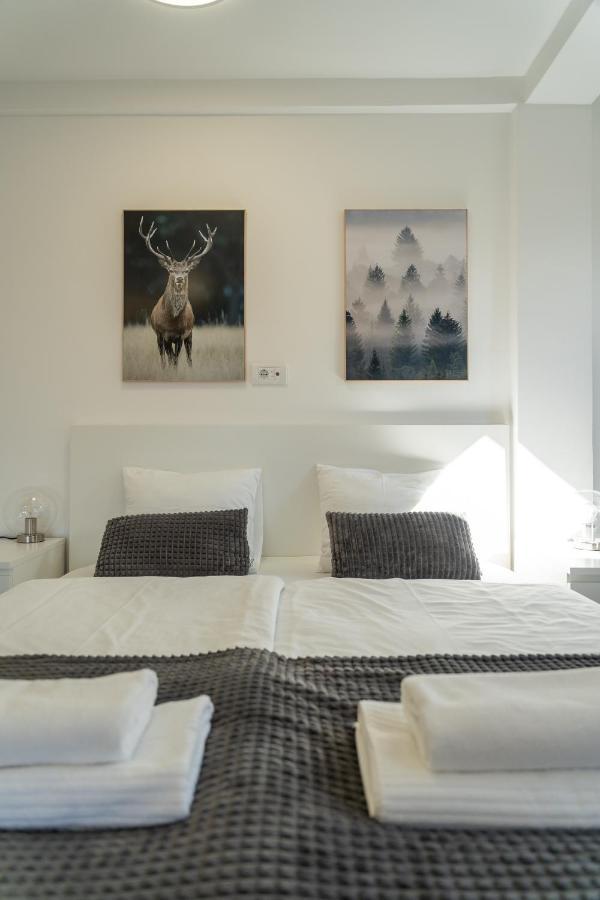 Apartment Grey Mountain Zlatibor Ngoại thất bức ảnh