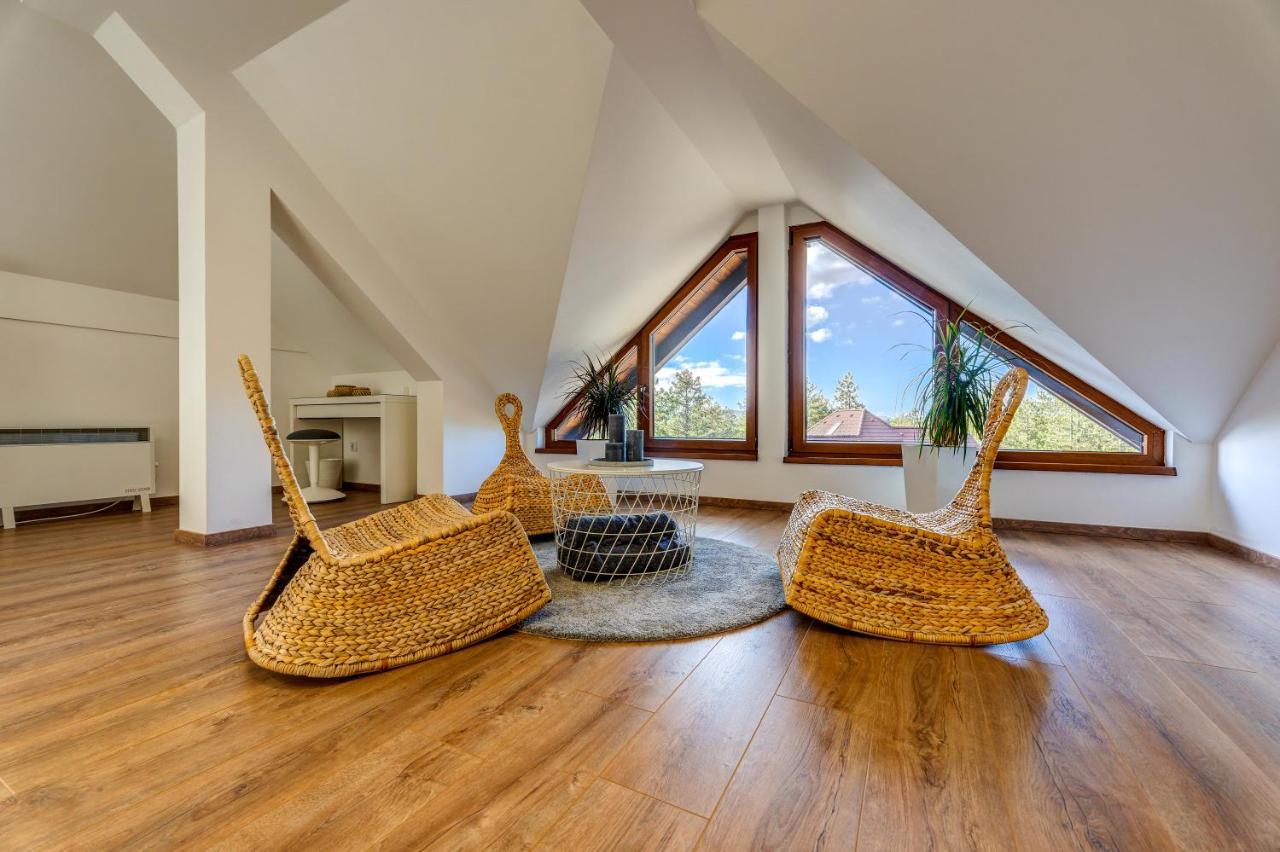 Apartment Grey Mountain Zlatibor Ngoại thất bức ảnh