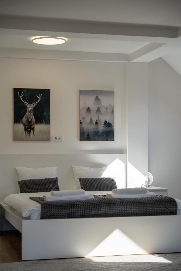 Apartment Grey Mountain Zlatibor Ngoại thất bức ảnh